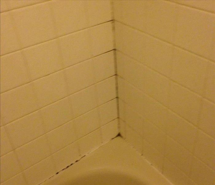 bathtub, corner area with mold on grout lines of tiled walls
