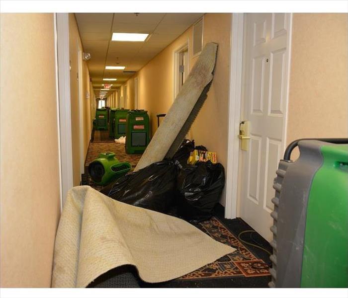 carpets in corridor with drying equipment