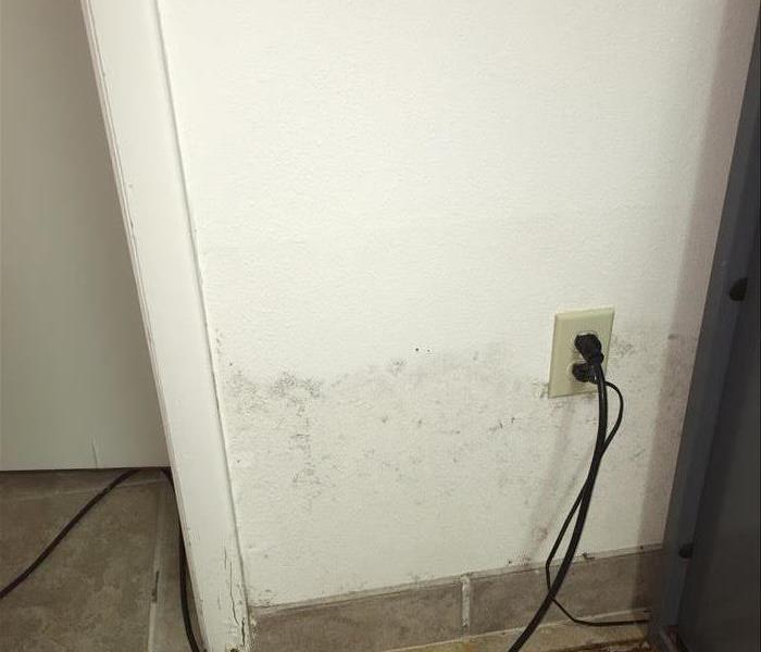mold stains on wall, rusty floor stains outlets