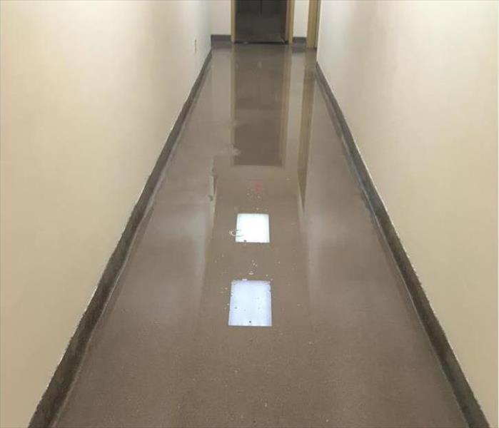 flooded corridor, ceiling lights reflecting off the water