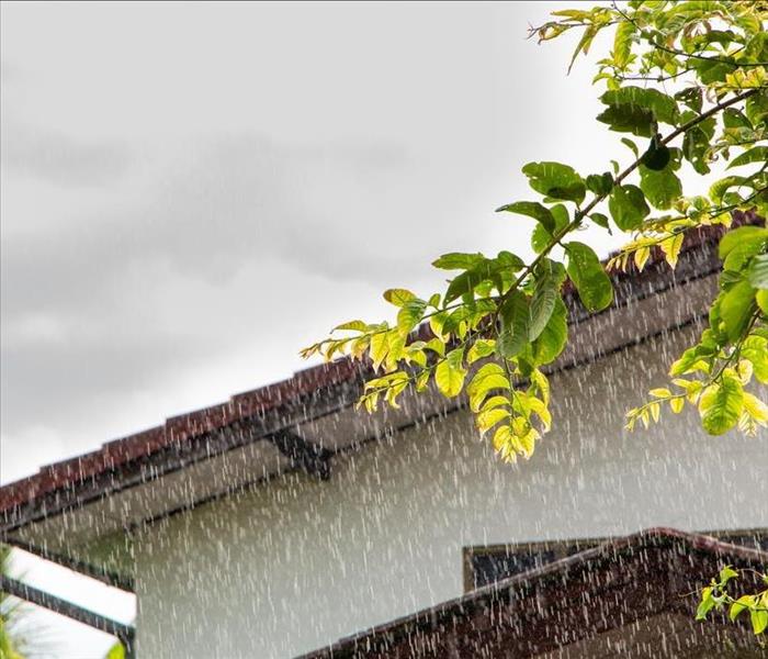 Raining on roof home,Rain drops fall continuously with blur green nature background.